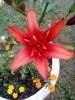 IMG_20180728_125608.thumb.jpg.538fc27373ce8a02f83770b2f4cc14a6.jpg?1534730424262