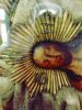 IMG_20180805_131935.thumb.jpg.4cc5833be093b34a887dfb022a211da3.jpg