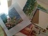 IMG_20180805_170629.thumb.jpg.1f75e324cb6c76c6b22ee16862921a24.jpg?1533478664803