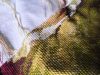 IMG_20180811_130815.thumb.jpg.aaa23ba950b0010db8de1d679301bd71.jpg
