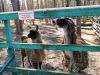 IMG_20180819_123403.thumb.jpg.d1bffe6d8a203433f3aab3b1bdf23540.jpg