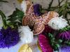 IMG_20180828_172746.thumb.jpg.d00749844289b5173e11cd244bc58492.jpg