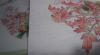 IMG_2127.thumb.PNG.041a5ea8a210e4247c49c3dea43fe134.PNG