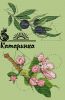 KZmg-3kPcLE.thumb.jpg.999657d842e5517fa6bd10a5f7f62222.jpg