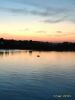 P_20180817_203800_1_p.thumb.jpg.e282a9ddd40fd2872a86003be1fe9cc2.jpg