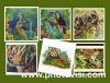 Tropic.thumb.jpg.c995fbe73bf025f7ca99e13b86b87a3a.jpg