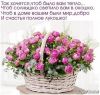 f6c88e1119bdeeec8006be988d8781f0.thumb.jpg.7ff70ae6616a6647d530609cf19632df.jpg