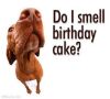funny-happy-birthday-wishes-1.thumb.jpg.c4e0a9761a7163243203cba56f6803df.jpg