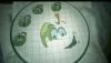 ok-saved-image-21DE565C2C99A2AB775E32C7A63FDD72.jpg
