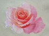 1.thumb.jpg.f6ebcc4d6f4e2e6a470dc47fbe0d0f78.jpg