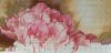 101.thumb.jpeg.f50c0b52ecaa2803d6d1269042c9643d.jpeg