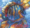 13513.thumb.jpg.3db5aec1166b1c8eba40eead1a166db3.jpg