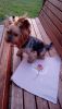 13D21C6A-C045-47A8-A7A2-67CC476942BF.thumb.jpeg.a924837bc131d67ac3f42de7a772b1b1.jpeg