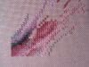 2.thumb.JPG.dd33a3681c80bbd3ea87cb1cf7adf9d9.JPG