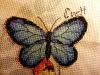 20170410_211112.thumb.jpg.2ad566fe421bb5cb833874b609164a47.jpg