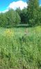 20180608_153248.thumb.jpg.1f7dc120852895260abac2273d691b51.jpg