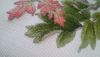 20180902_153139.thumb.jpg.d4956647758bea03fbdfde507149f6b2.jpg