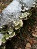 20180912_104027.thumb.jpg.369213e661e8fb9f62f592efb659ed66.jpg