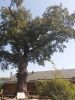 20180912_114254.thumb.jpg.a20dc3f78ceefeb3f73ec5aeb7742787.jpg