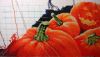 20180916_210114.jpg.c65882f40e1b3dfe6b5e2e90dfd6592a.thumb.jpg.bb08374b02aee29c5612dea8e869c937.jpg
