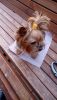 31C244D4-0C5C-4564-B1B8-FAEEFD780DE2.thumb.jpeg.60990db072402e6d66eebebe151eda2e.jpeg
