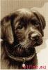 36195.thumb.jpg.28706e72acd902a8a8967cafe359fb8f.jpg