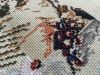 4.thumb.JPG.4321ceaded22ebab6b7a685e55bfc62b.JPG