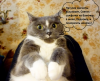 5b926c20cdf1c_-2.thumb.png.c26b98cec620ae4e4a61a042b0d03881.png