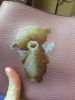 7.thumb.jpeg.80a6fcfc1a7346e81d9742005cbc5f6e.jpeg
