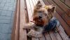 799DC993-5F07-4405-A5F8-40DE3CF9EAC9.thumb.jpeg.f275c526a9943183d252558cf16212d3.jpeg