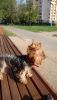 A4904EF8-26CC-4F04-937F-1B4FE634226A.thumb.jpeg.6dad5eb98636e69bdbb8f8ca0b6d2498.jpeg