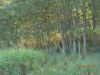 DSC00287.thumb.JPG.96d27ac0071d5781cf472c5a5df87f82.JPG