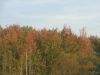 DSC00343.thumb.JPG.cb3e81ca79ca70c8249dd8afa03b2902.JPG