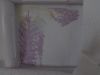 DSC05546.thumb.JPG.78082d7fdbb531fe78f278dba6530bde.JPG
