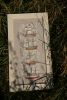 DSC07349.thumb.JPG.806b20115367c8a5eca25adf1943c8d5.JPG
