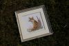 DSC07359.thumb.JPG.e4e72354b64a56496b7a146ee887fc70.JPG