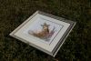 DSC07367.thumb.JPG.78b9f2b4a6e3aa05a36a92c0027b7286.JPG