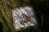 DSC07389.thumb.JPG.0726a042ab669f86280208e86cda2a1d.JPG