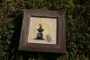 DSC07409.thumb.JPG.085acc1942d78dd286888299c738f0de.JPG