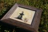 DSC07422.thumb.JPG.cd11ade2e8943d57f86d9196f7165e4a.JPG
