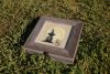 DSC07443.thumb.JPG.b598849e0fa79d25904dbc9ce9375864.JPG