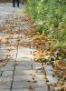DSC07485.thumb.JPG.12ced91a3c2250f8359086f51fc69287.JPG