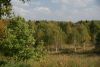 DSC07488.thumb.JPG.3afaef55c9f57685e31dbef15ad72cfe.JPG