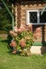 DSC07504.thumb.JPG.201f22cad379f91e85d4a8130a252c81.JPG