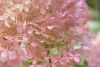 DSC07527.thumb.JPG.72f0a2c2bc246d6f393e131974640211.JPG