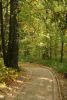 DSC07543.thumb.JPG.ffd9878f72b969f59700ece86cb43d8e.JPG