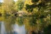 DSC07568.thumb.JPG.8c5273af017b8094611015b81a617c7f.JPG