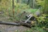 DSC07729.thumb.JPG.d1991cd42ae4f7ee81906587f0c0dc46.JPG
