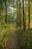 DSC07734.thumb.JPG.7aaa46329e240897a15237c997b8debb.JPG