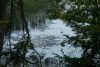 DSC07776.thumb.JPG.3893ee2a1b94e7e5a20627c5db1532db.JPG